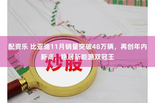 配资乐 比亚迪11月销量突破48万辆，再创年内新高，稳居新能源双冠王